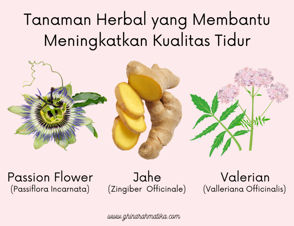 tanaman herbal untuk meningkatkan kualitas tidur
