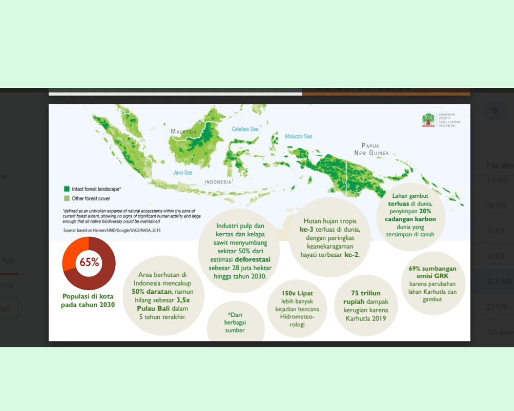 sebaran hutan indonesia dan kondisinyta kini