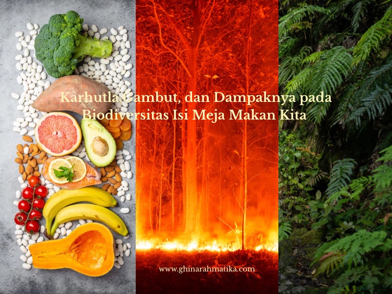 Karhutla, gambut, damn dampaknya pada isi meja makan kita